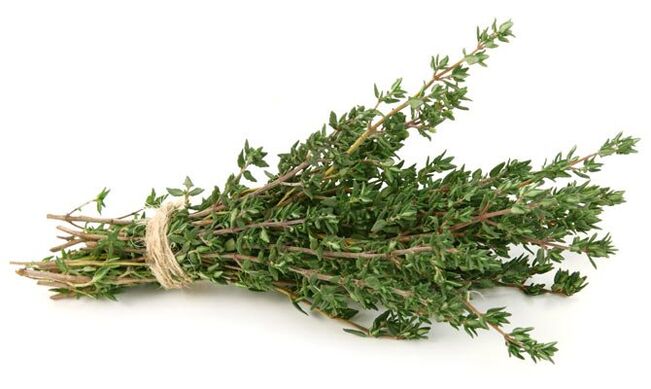 мащерка за уголемяване на пениса