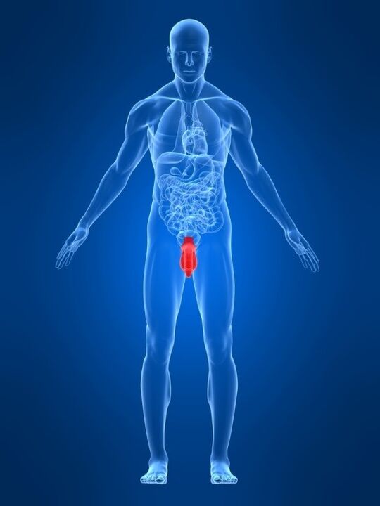 мъжки пенис и начини за увеличаването му